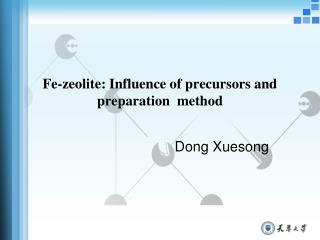 Fe-zeolite: Influence of precursors and preparation method