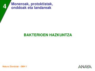 • Bakterioak laborategian haz daitezke, bakterioen hazkuntza izeneko teknikari esker.