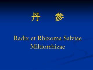 丹 参 Radix et Rhizoma Salviae Miltiorrhizae