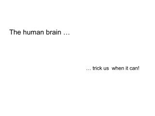 The human brain …