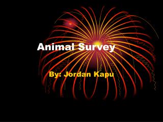 Animal Survey