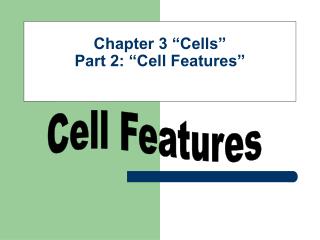 Chapter 3 “Cells” Part 2: “Cell Features”