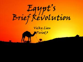 Egypt’s Brief Revolution