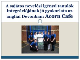 A sajátos nevelési igényű tanulók integrációjának jó gyakorlata az angliai Devonban: Acorn Cafe