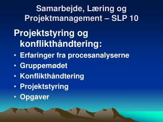 Samarbejde, Læring og Projektmanagement – SLP 10