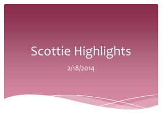 Scottie Highlights