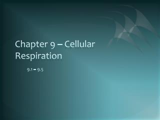 Chapter 9 – Cellular Respiration