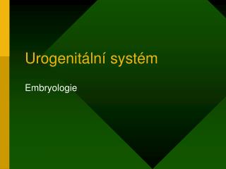 Urogenitální systém