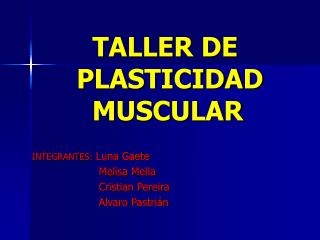 TALLER DE PLASTICIDAD MUSCULAR