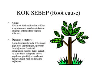 KÖK SEBEP (Root cause)