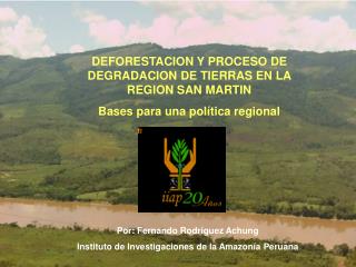 IMPACTO AMBIENTAL: Deforestación