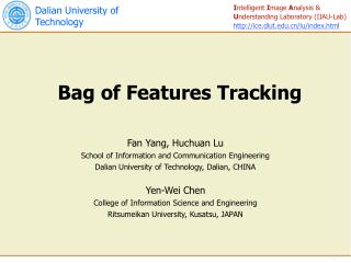 Bag of Features Tracking