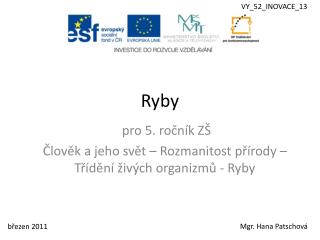 Ryby