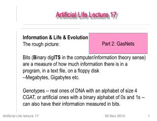 Artificial Life Lecture 17