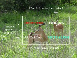 Effect * of species 1 on species 2