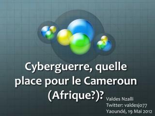 Cyberguerre , quelle place pour le Cameroun ( Afrique ?)?