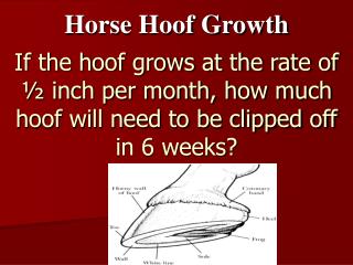 Horse Hoof Growth