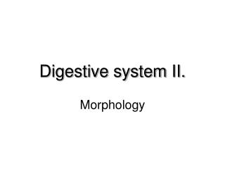 Digestive system II.