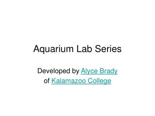 Aquarium Lab Series