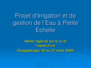 Projet d’Irrigation et de gestion de l’Eau à Petite Échelle