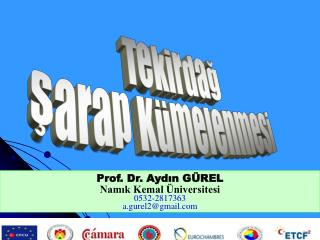 Prof. Dr. Aydın GÜREL Namık Kemal Üniversitesi 0532-2817363 a.gurel2@gmail