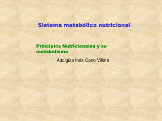 Sistema metabólico nutricional