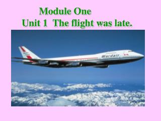 Module One Unit 1 The flight was late.