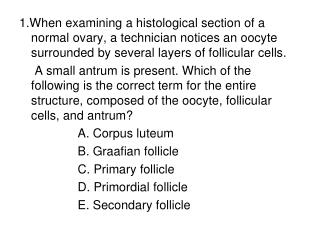 The correct answer is E. Follicles in different stages of maturation have different appearances.