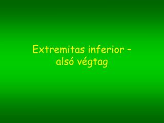 Extremitas inferior – alsó végtag