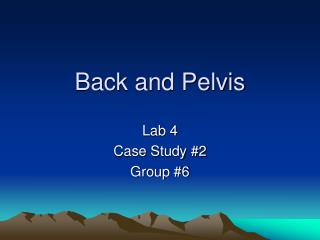 Back and Pelvis