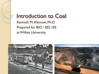 Introduction to Coal