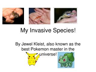 My Invasive Species!