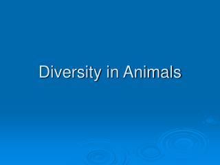 Diversity in Animals