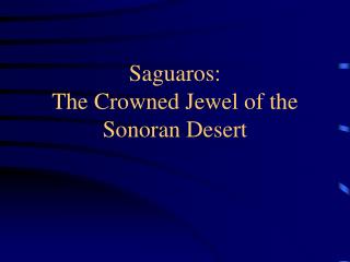 Saguaros: The Crowned Jewel of the Sonoran Desert