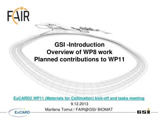 GSI -Introduction Overview of WP8 work Planned contributions to WP11
