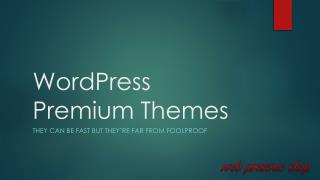 WordPress Premium Themes