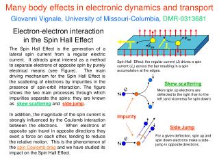 Many body effects in electronic dynamics and transport