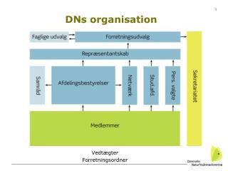 DNs organisation