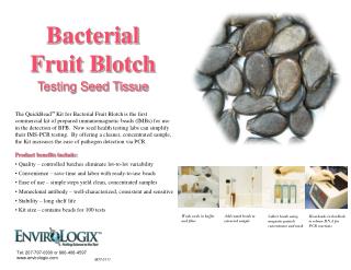 Bacterial Fruit Blotch Testing Seed Tissue