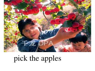 pick the apples