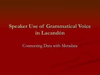 Speaker Use of Grammatical Voice in Lacandón