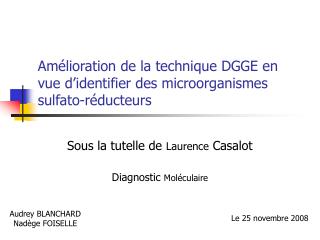 Amélioration de la technique DGGE en vue d’identifier des microorganismes sulfato-réducteurs