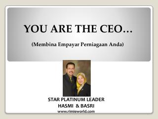 YOU ARE THE CEO…