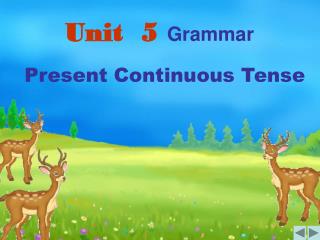 Unit 5 Grammar