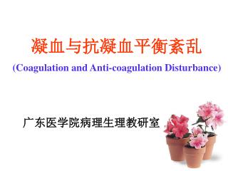 凝血与抗凝血平衡紊乱 (Coagulation and Anti-coagulation Disturbance)