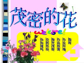 茂密的花
