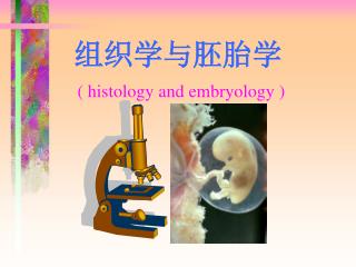 组织学与胚胎学 ( histology and embryology )