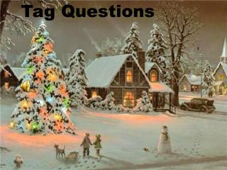 Tag Questions