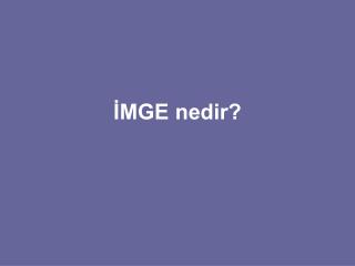 İMGE nedir?