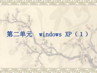 第二单元 windows XP （１）